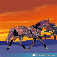 Horse Color:ERROR: UNKNOWN ANOMALY