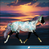 Horse Color:Painted Watercolor White Spotted Silver Buckskin Splash