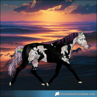 Horse Color:Painted Watercolor White Spotted Chocolate Palomino Ice Tobiano 