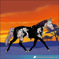 Horse Color:Painted Watercolor White Spotted Chocolate Palomino Ice Tobiano 