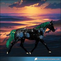 Horse Color:ERROR: UNKNOWN ANOMALY