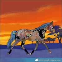 Horse Color:Painted Nacre White Spotted Chocolate Palomino 