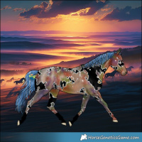 Horse Color:Painted Nacre White Spotted Chocolate Palomino 