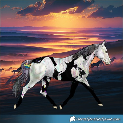 Horse Color:ERROR: UNKNOWN ANOMALY