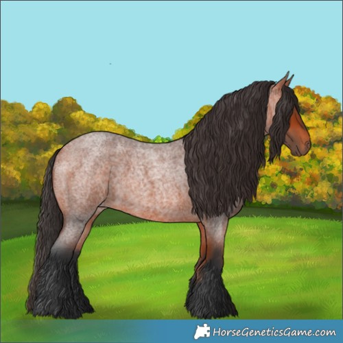 Horse Color:Bay Roan 