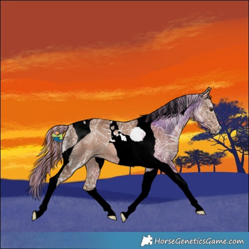 Horse Color:Painted Chestnut Ice Tobiano 