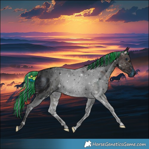 Horse Color:ERROR: UNKNOWN ANOMALY