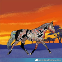 Horse Color:ERROR: UNKNOWN ANOMALY