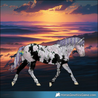 Horse Color:Painted Watercolor White Spotted Silver Smoky Black Ice 