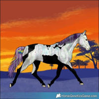 Horse Color:Painted Silver Buckskin Ice Tobiano 