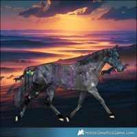 Horse Color:ERROR: UNKNOWN ANOMALY