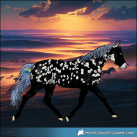 Horse Color:Painted Watercolor Red Ice Roan Splash Near Leopard 
