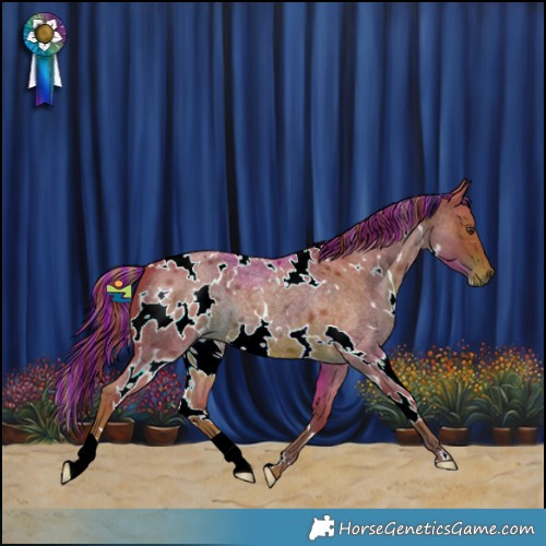 Horse Color:Painted Watercolor White Spotted Liver Red Roan 