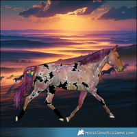 Horse Color:Painted Watercolor White Spotted Liver Red Roan