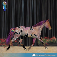 Horse Color:Painted Watercolor White Spotted Liver Red Roan 