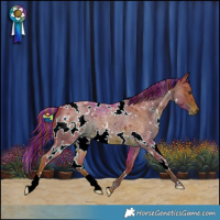 Horse Color:Painted Watercolor White Spotted Liver Red Roan 