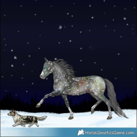 Horse Color:Brown Merle Snowflake Varnish
