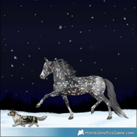 Horse Color:Brown Merle Snowflake Varnish 