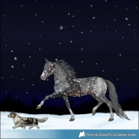 Horse Color:Brown Merle Snowflake Varnish