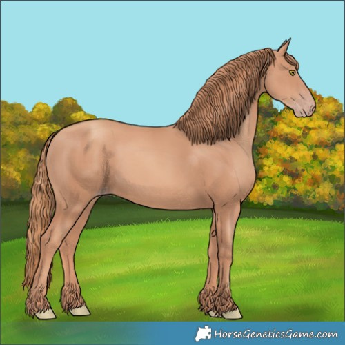 Horse Color:Gold Champagne