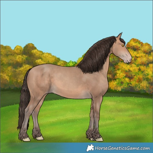 Horse Color:Amber Champagne