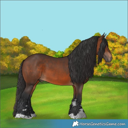 Horse Color:Brown 