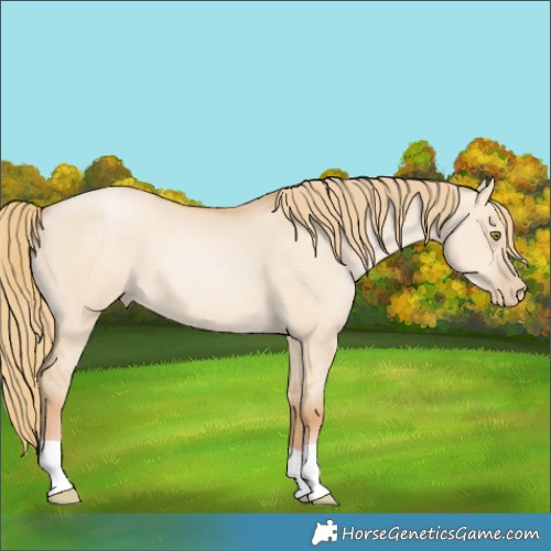 Horse Color:Red Dun Pearl 