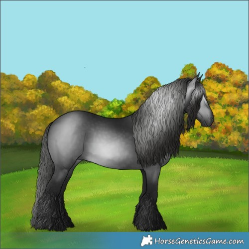 Horse Color:Gray Black 