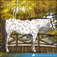 Horse Color:Classic Champagne Near Leopard