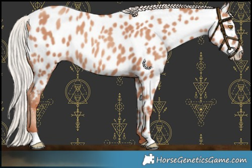 Horse Color:Silver Classic Champagne Near Leopard 