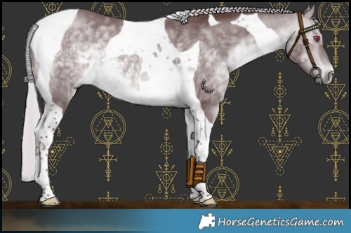 Horse Color:Chocolate Silver Bay Chinchilla Tobiano 