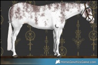 Horse Color:White Spotted Chocolate Silver Black Chinchilla 