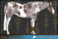Horse Color:Chocolate Silver Smoky Black Chinchilla Merle Sabino Tobiano