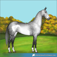 Horse Color:Gray Black Frame 