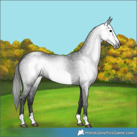 Horse Color:Gray Black Frame