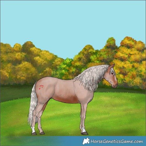 Horse Color:Silver Brown 