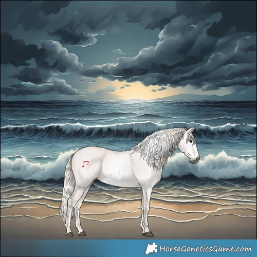 Horse Color:Gray Silver Black Rabicano 
