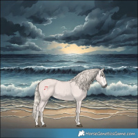 Horse Color:Gray Silver Black Rabicano 