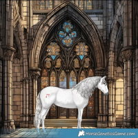 Horse Color:Gray Silver Black Tobiano Rabicano