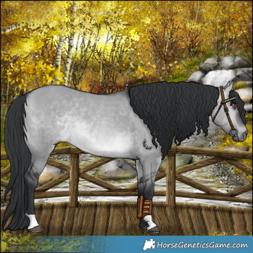 Horse Color:Brown Chinchilla Dun Rabicano 