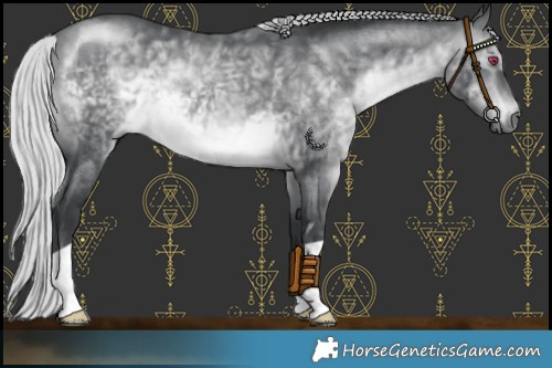 Horse Color:Silver Brown Chinchilla 