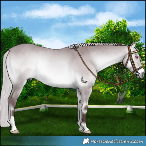 Horse Color:Chocolate Silver Bay Chinchilla Onyx 