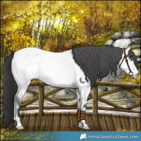 Horse Color:Buckskin Chinchilla Onyx 