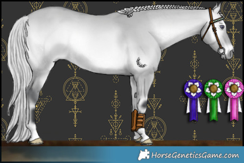 Horse Color:Silver Bay Chinchilla Onyx 