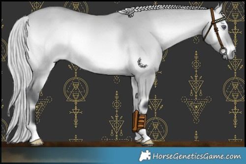 Horse Color:Silver Bay Chinchilla Onyx 