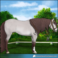 Horse Color:Chocolate Bay Chinchilla