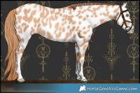 Horse Color:Gold Champagne Near Leopard 