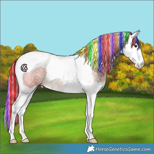 Horse Color:Painted Silver Brown Roan Splash Tobiano Rabicano