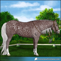 Horse Color:Chocolate Silver Black Chinchilla