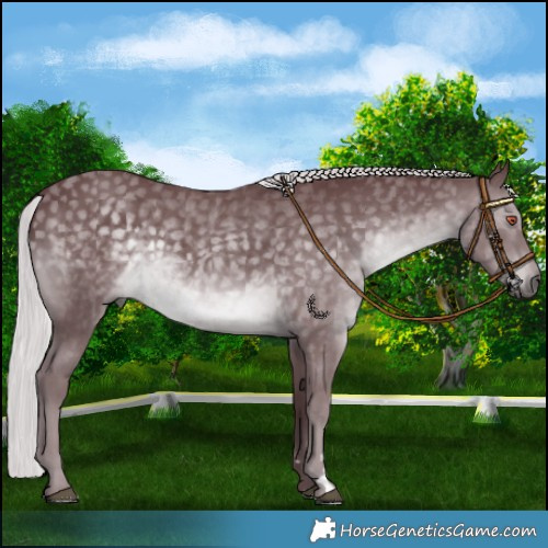 Horse Color:Chocolate Silver Black Chinchilla 